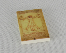 Zeige Details für G025 / 2 x 3 - Fliese Gemälde Vitru Men Bild von G025 / 2 x 3 - Fliese Gemälde Vitru Men