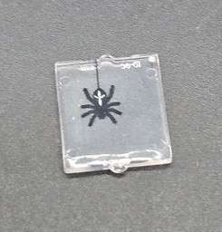 Kleine Kunststoffbox mit Spinnenbild Bild von Spinne Fenster mini 1x2x2