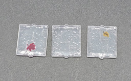 Drei durchsichtige Quadrate mit Blättern Bild von Regenfenster mini 1x2x2