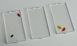 Zeige Details für Regenfenster klein 1x2x3 Bild von Regenfenster klein 1x2x3