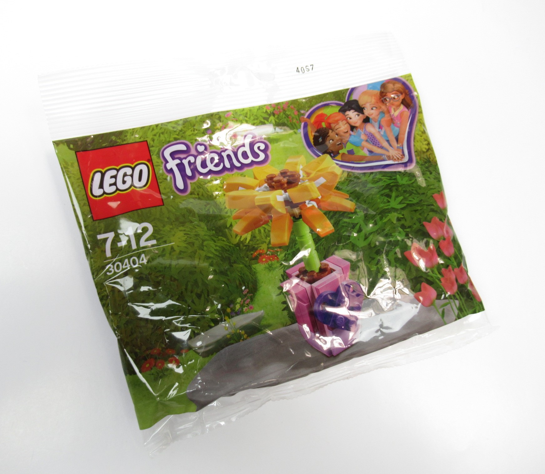 Obraz LEGO® Friends 30404 Freundschaftsblume Polybag