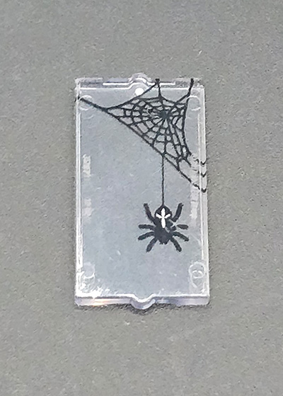 Bild von Spinne Fenster klein 1x2x3