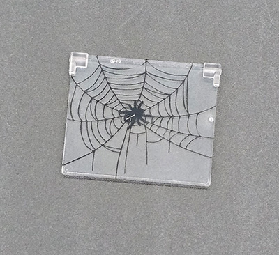 Bild von Spinne Fenster mittel 1x4x3