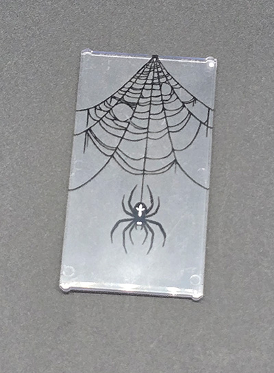 Bild von Spinne Fenster groß 1x4x6